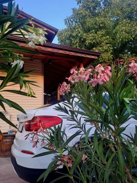 BMW X4 xDrive20d НОВ!!!108000km - 44900 лв. / 22957.01 € - 11934621 6