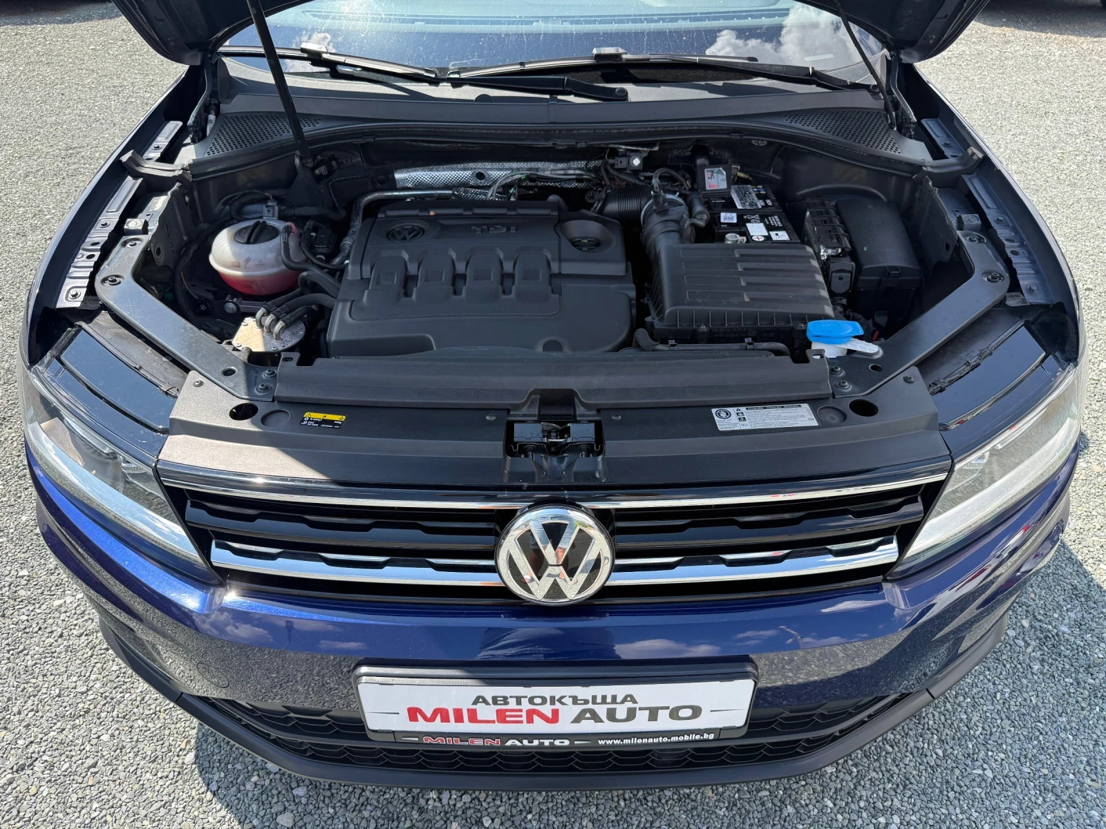 VW Tiguan (KATO ����)^(4x4) | Mobile.bg � ����������� 17
