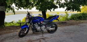  Honda Hornet