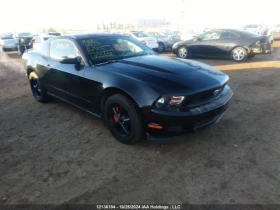     Ford Mustang 4.0 v6//106000km/  