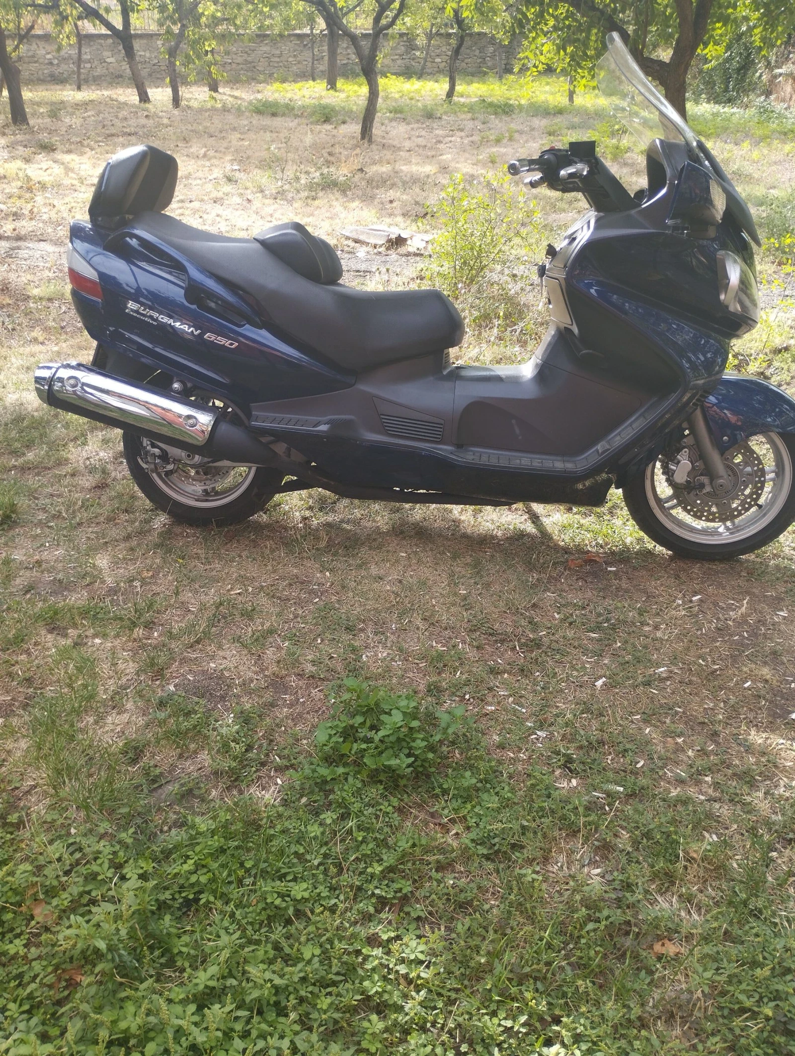 Suzuki Burgman 650 - изображение 2
