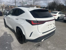 Lexus NX 2022 LEXUS NX 350 - 31000 € / 60630.73 лв. - 38558201 4