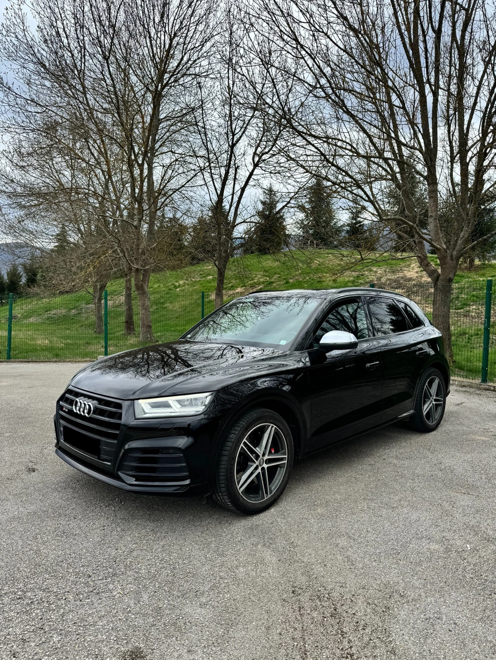 Audi SQ5 TDI  - изображение 6