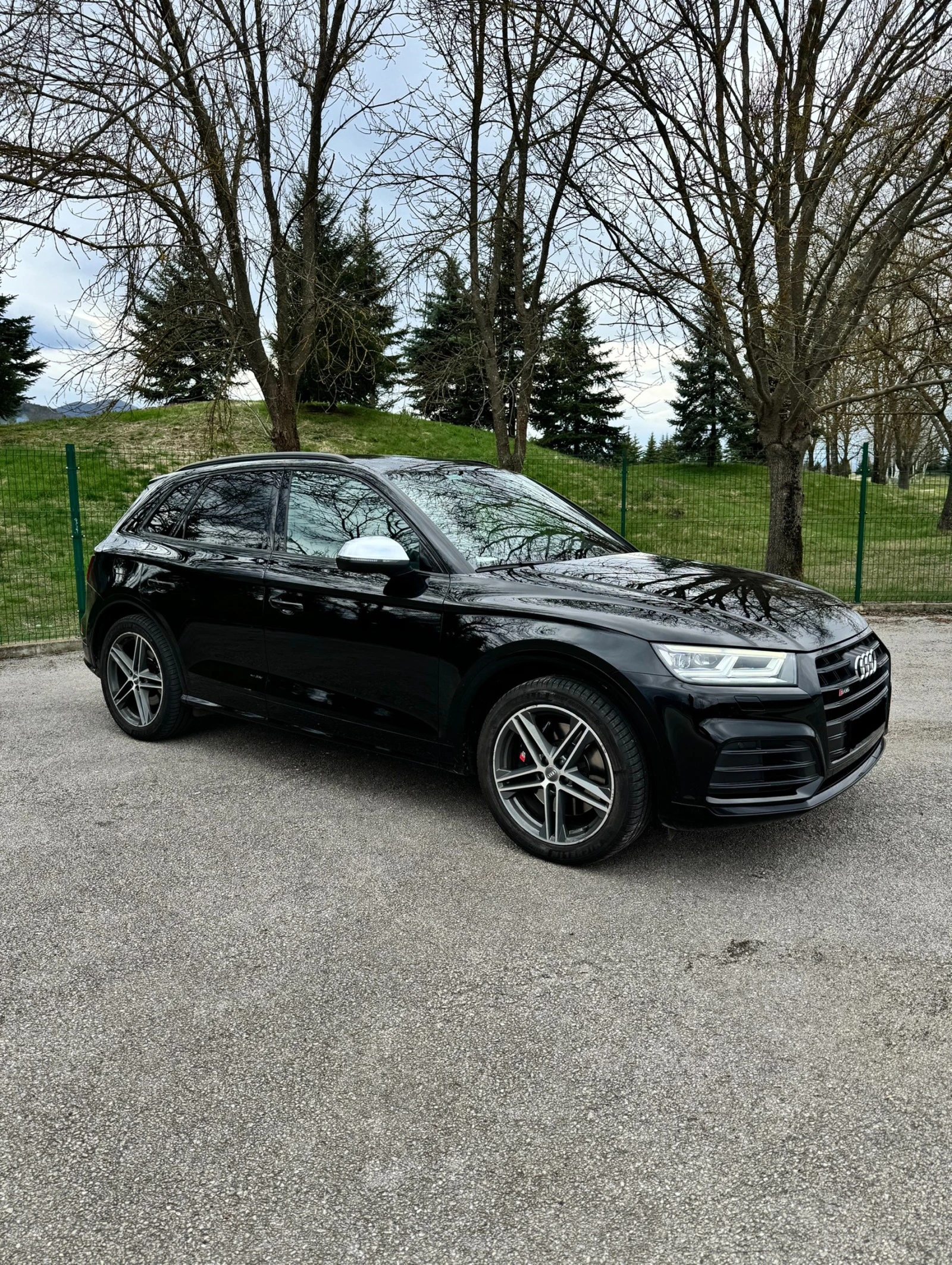 Audi SQ5 TDI  - изображение 2