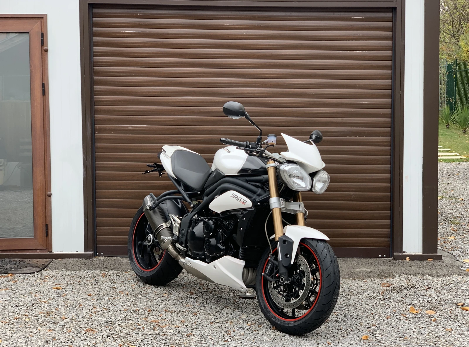 Triumph Speed Triple 1050 SC Poject