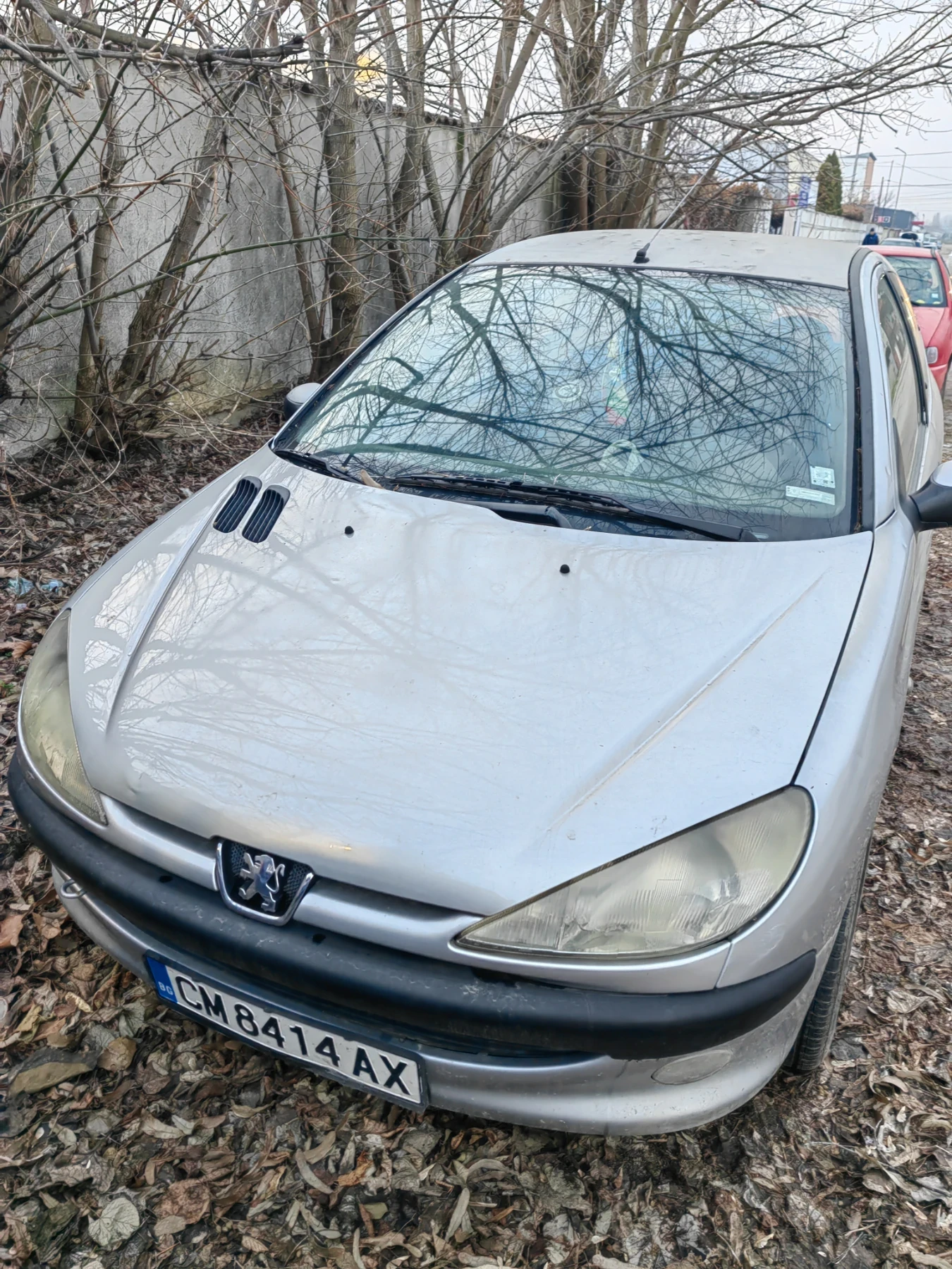 Peugeot 206, снимка 1