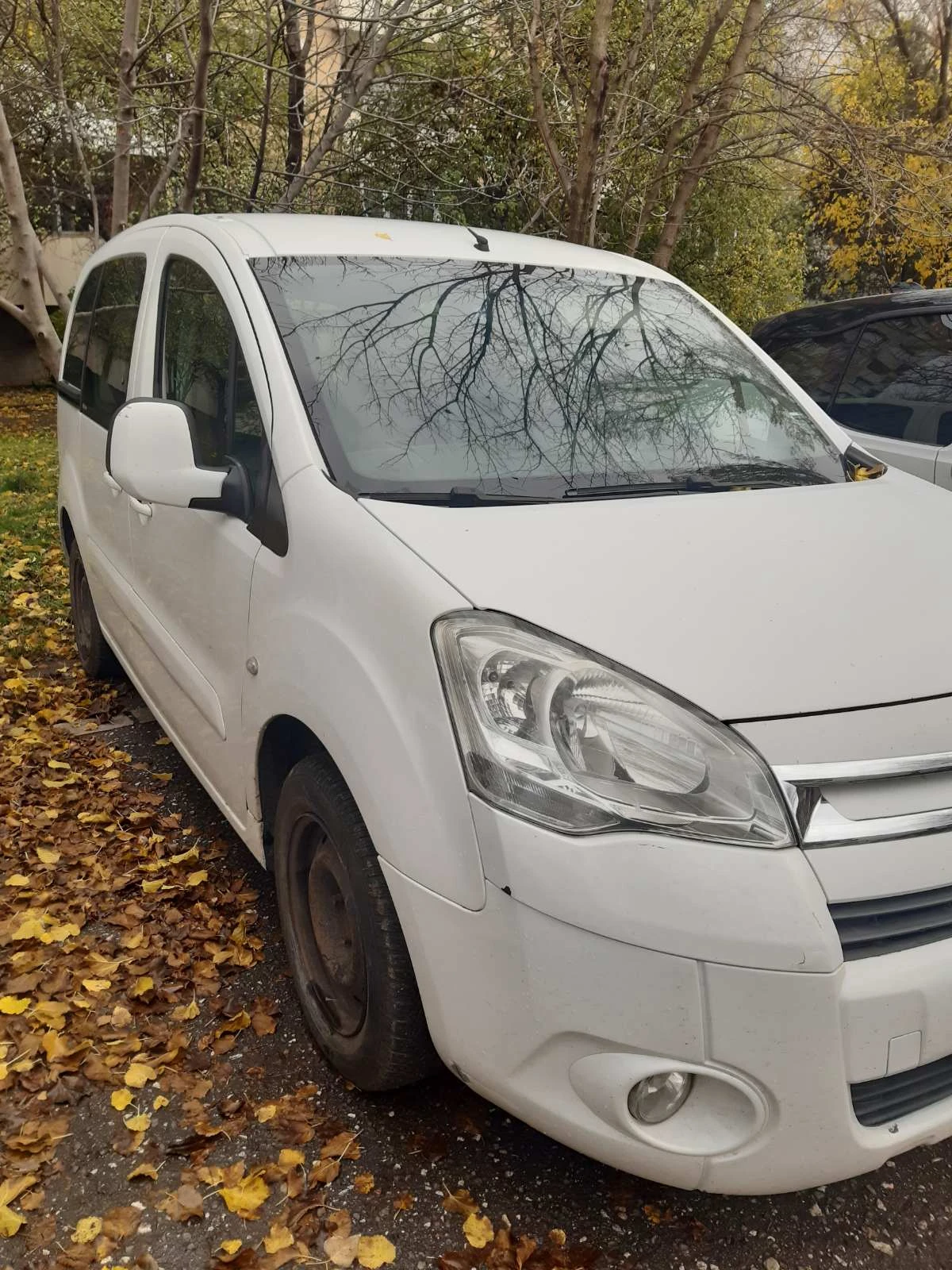 Citroen Berlingo | Mobile.bg   1