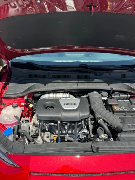 Hyundai Kona 1.6  44 | Mobile.bg    15