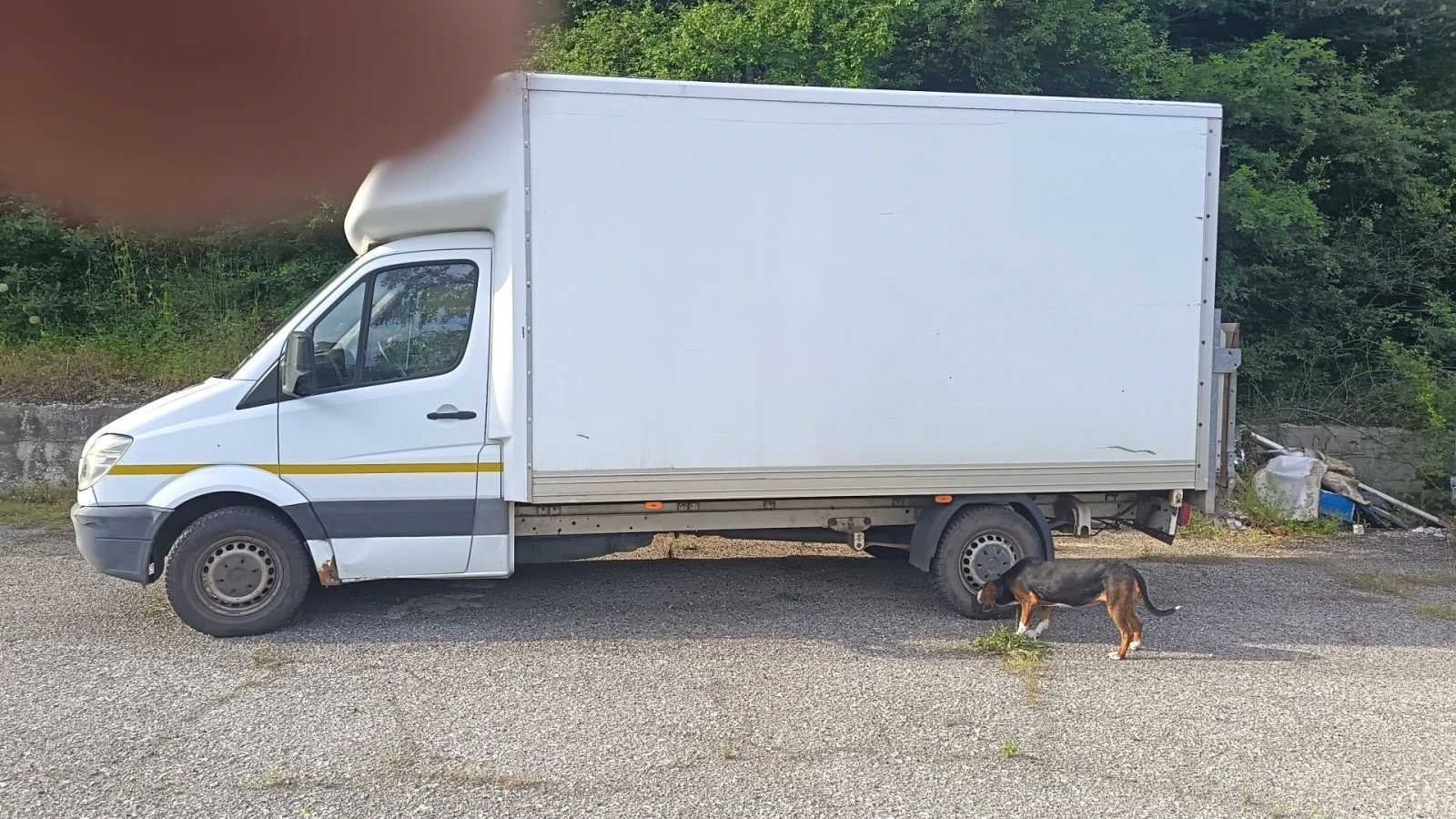 Mercedes-Benz Sprinter 313