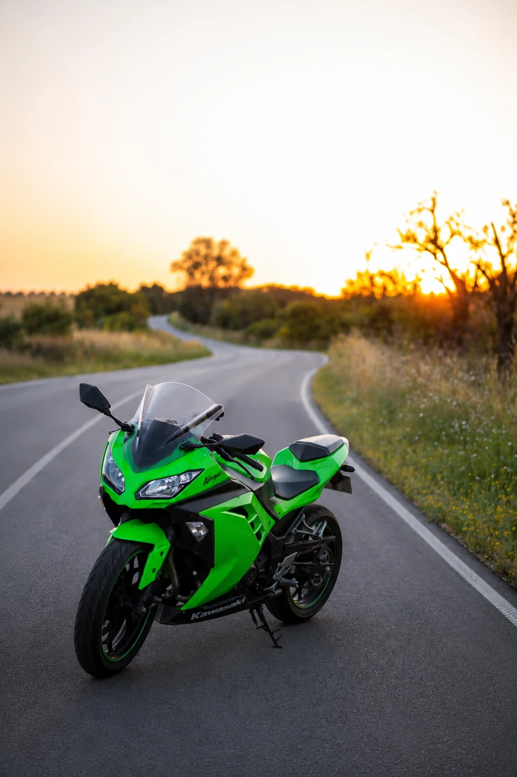 Kawasaki Ninja