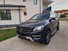     Mercedes-Benz ML 250 AMG 