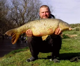 Надуваема лодка Honda Marine T40 | Auto.bg — изображение 11