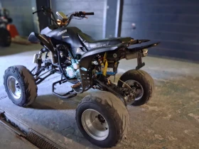 Bashan BS 300 кубика, снимка 4