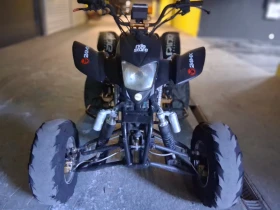 Bashan BS 300 кубика, снимка 2