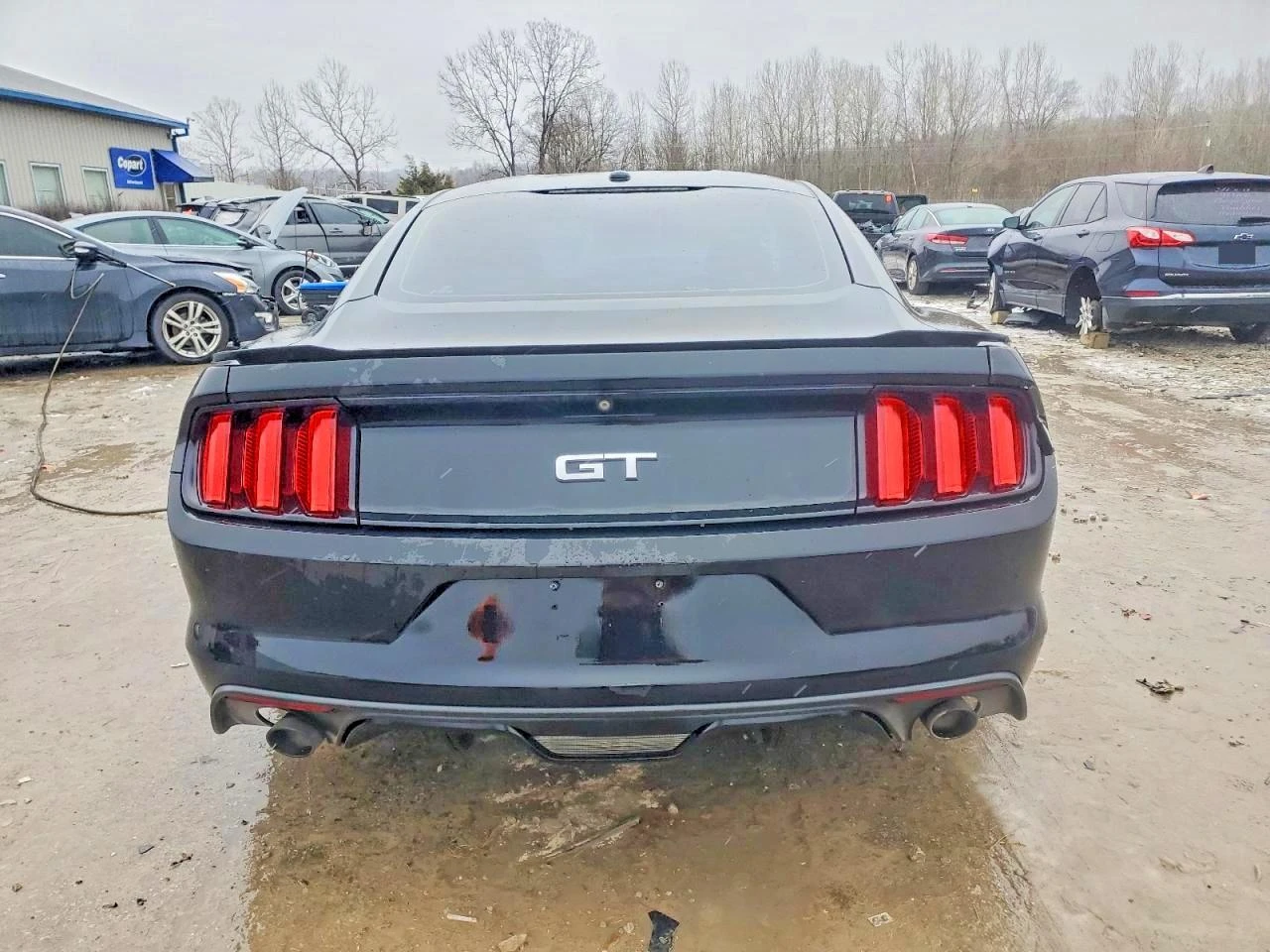 Ford Mustang GT 5.0 V8 - изображение 5