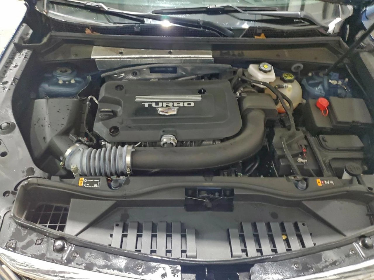 Cadillac XT4 2l Premium Luxury | Mobile.bg � ����������� 12