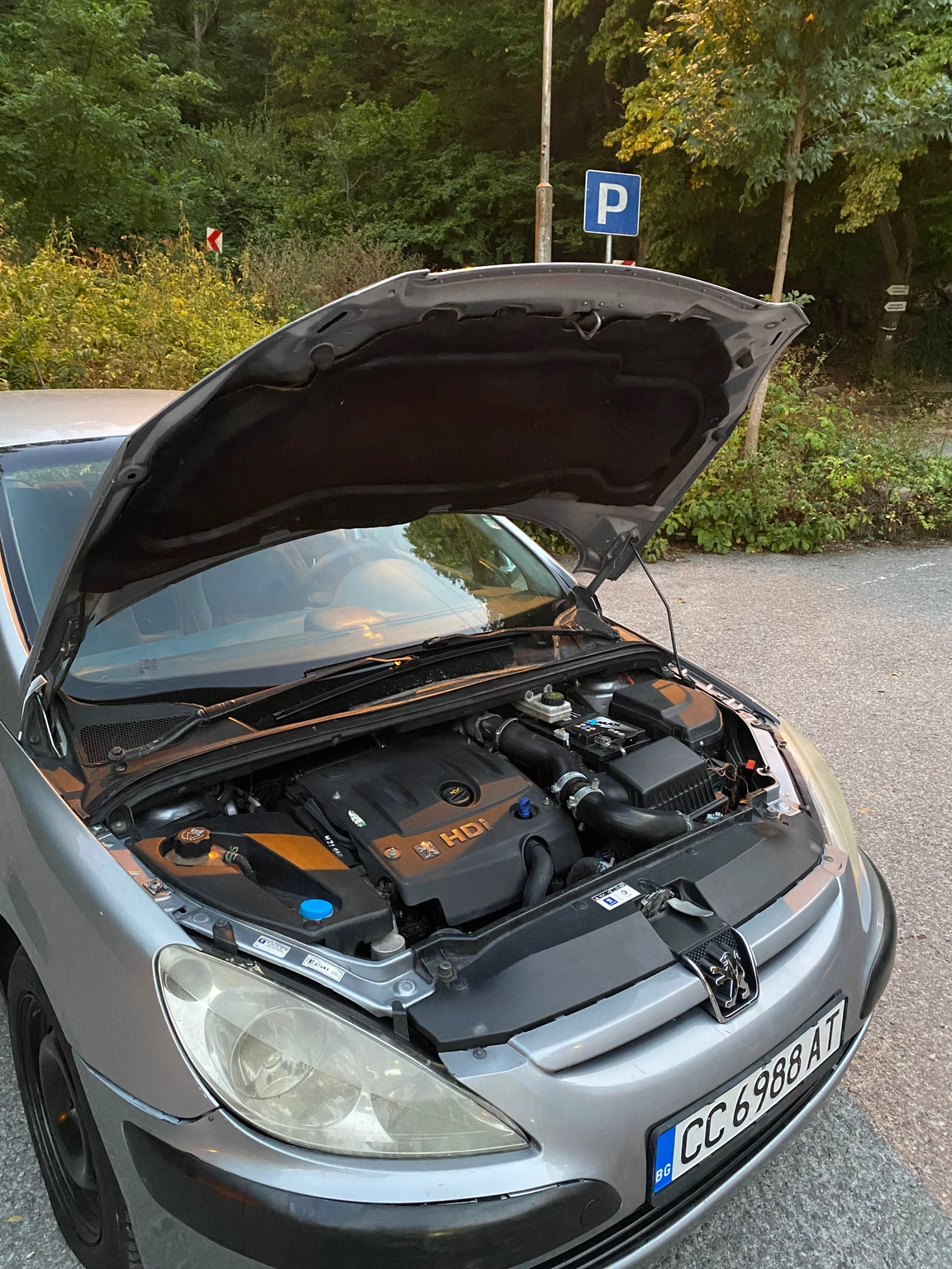 Peugeot 307, снимка 8 - Автомобили и джипове - 55891119