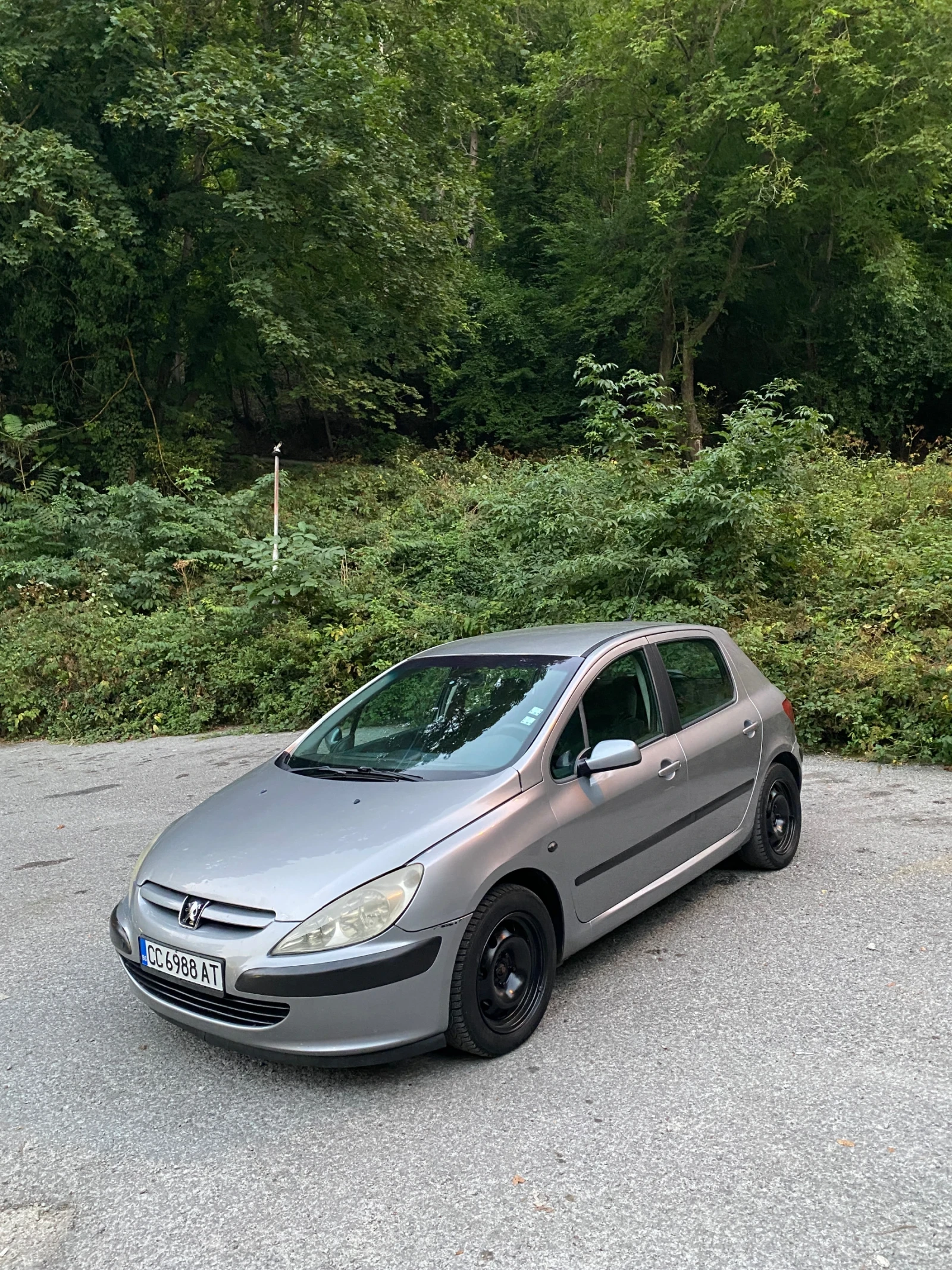 Peugeot 307, снимка 2 - Автомобили и джипове - 55891119