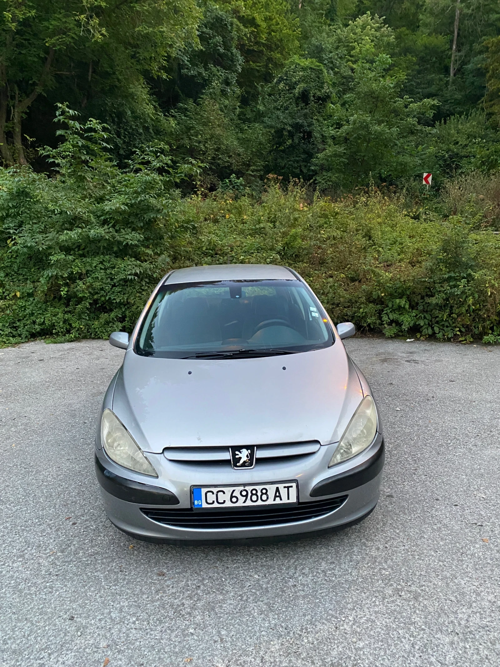 Peugeot 307, снимка 4 - Автомобили и джипове - 55891119