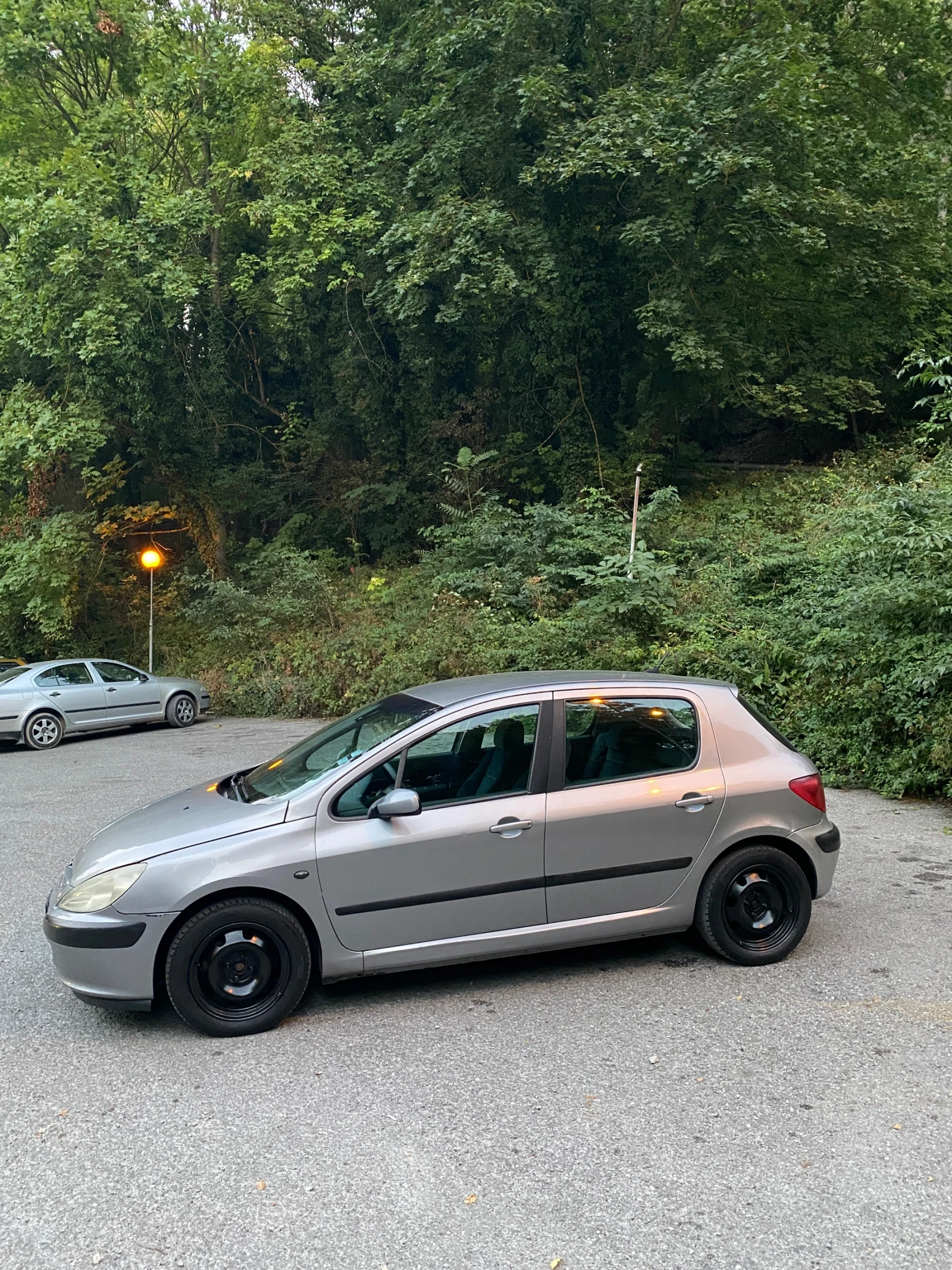 Peugeot 307, снимка 3 - Автомобили и джипове - 55891119