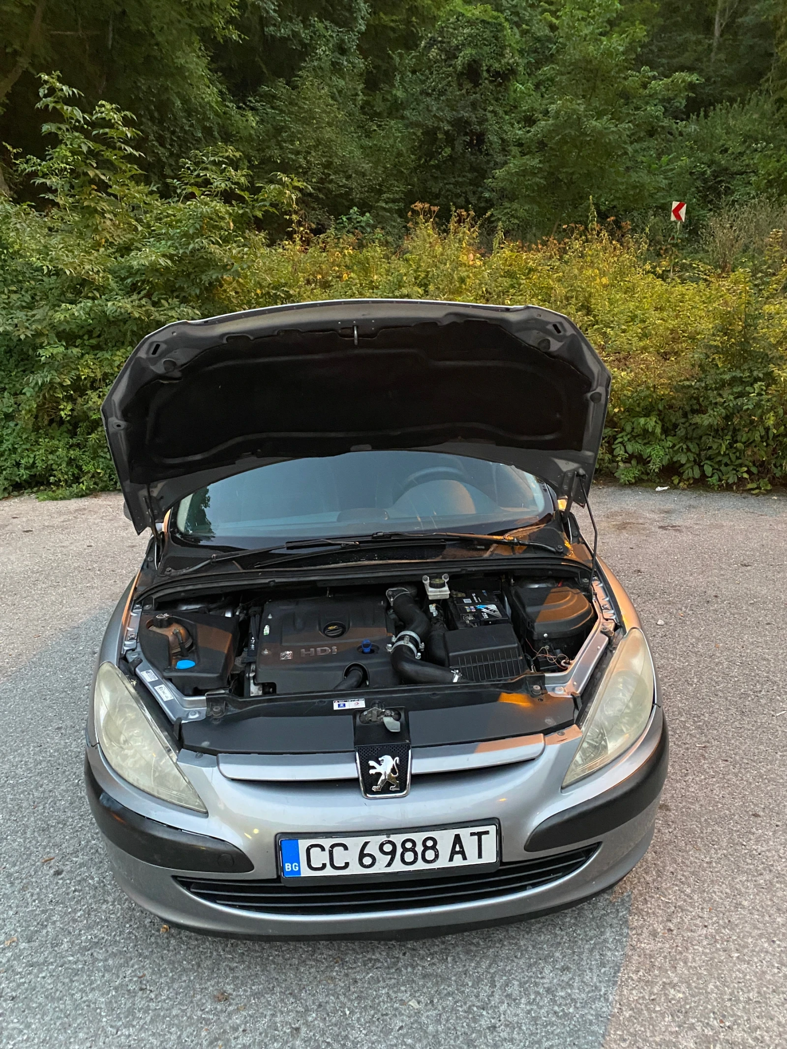 Peugeot 307, снимка 9 - Автомобили и джипове - 55891119