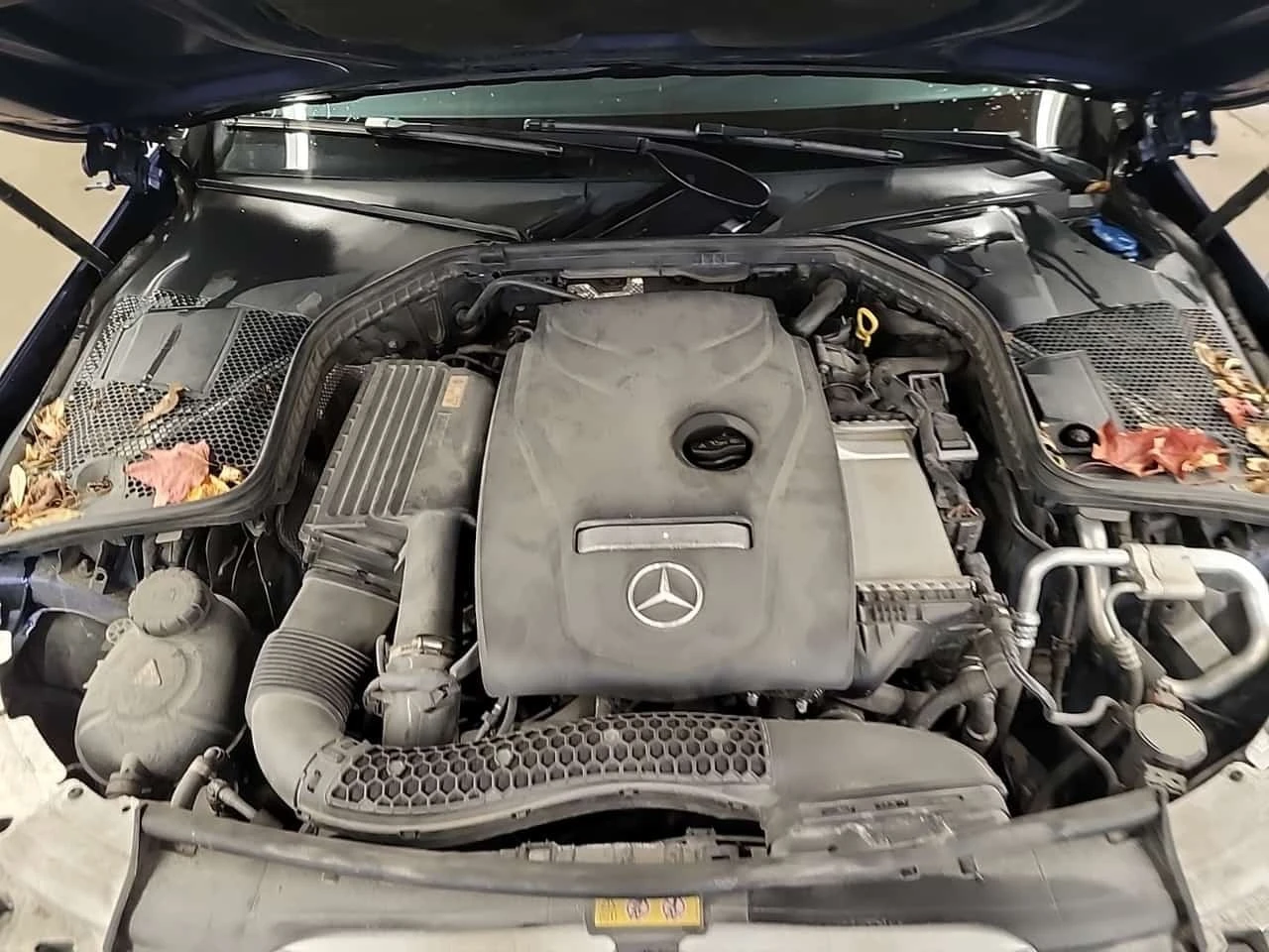 Mercedes-Benz C 300 * 4MATIC * CARFAX * ������� * ������� *  | Mobile.bg � ����������� 17