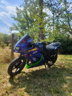 Kawasaki Ninja 250R, снимка 2