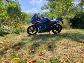 Kawasaki Ninja 250R, снимка 10