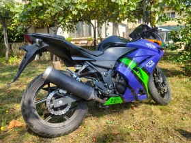 Kawasaki Ninja 250R, снимка 6