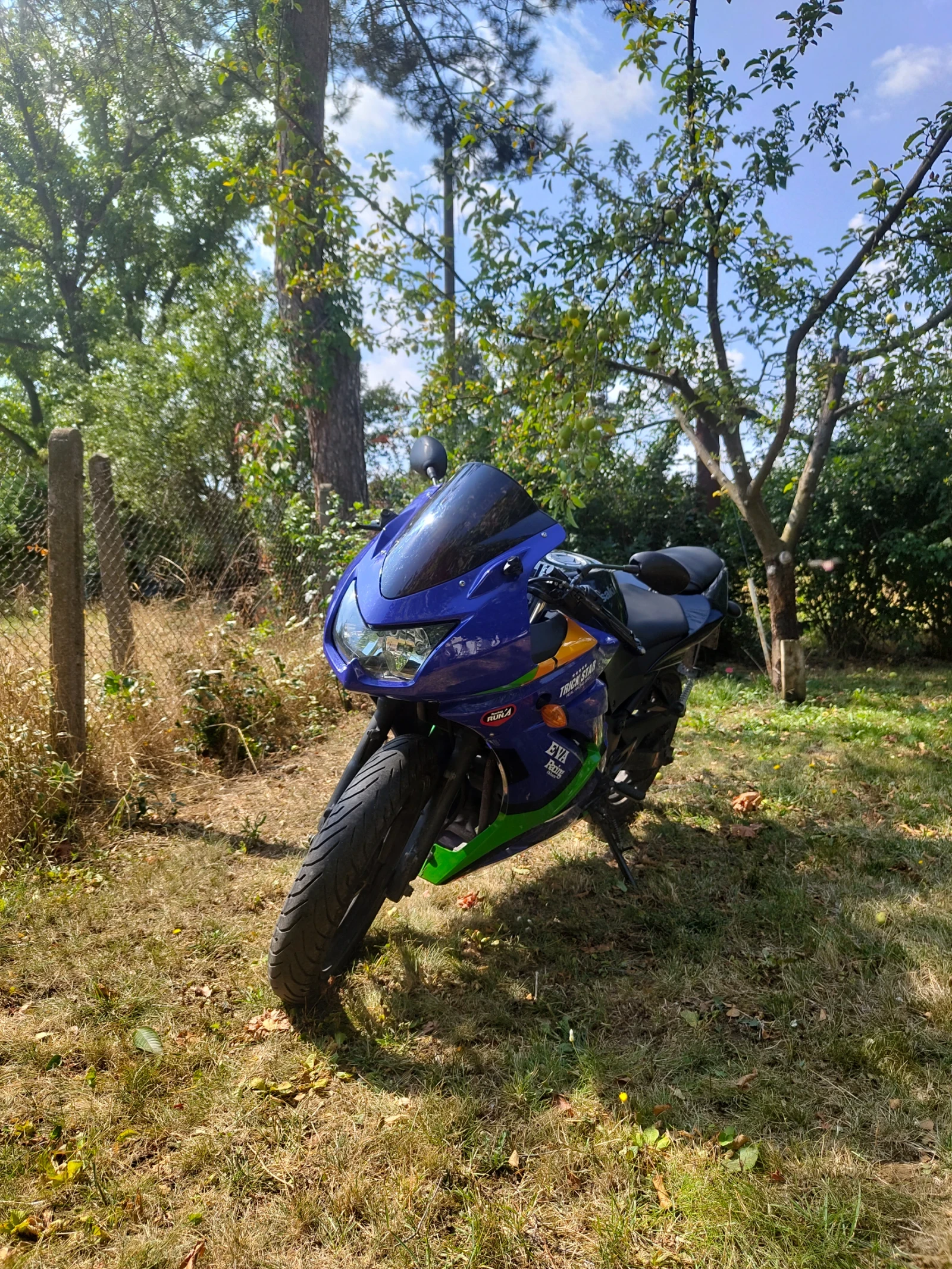 Kawasaki Ninja 250R