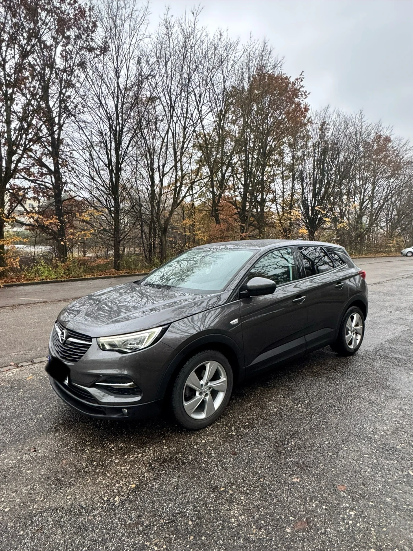 Opel Grandland X, снимка 1