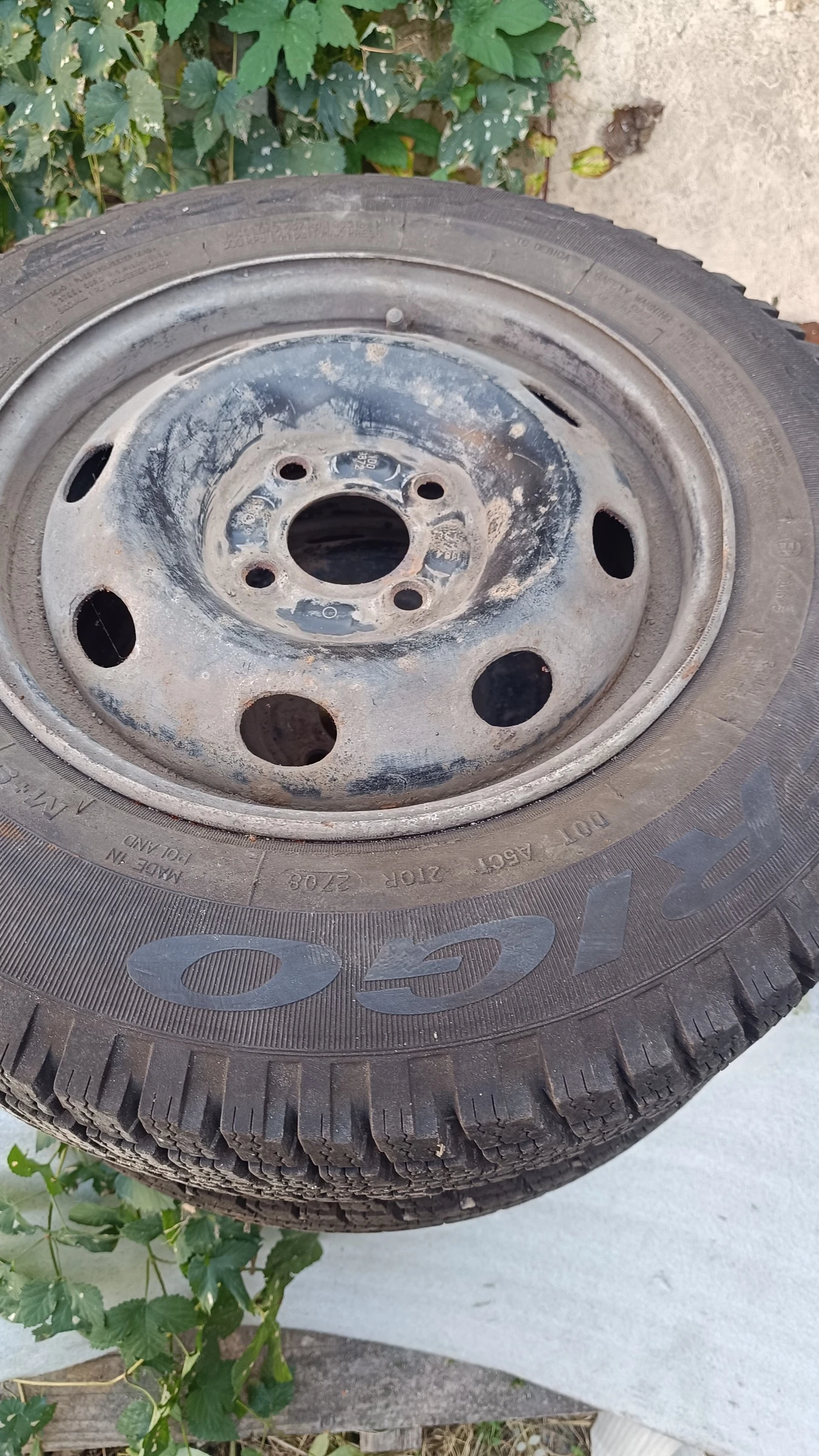 ���� � ������ 155/80R13 �� Renault Rapid | Mobile.bg � ����������� 5