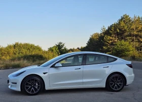     Tesla Model 3  44  