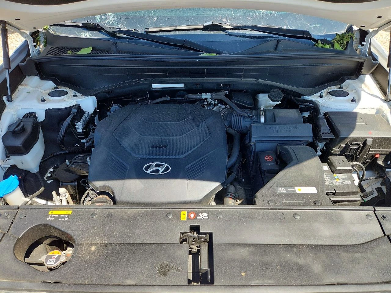 Hyundai Palisade 3.8l Limited | Mobile.bg � ����������� 12