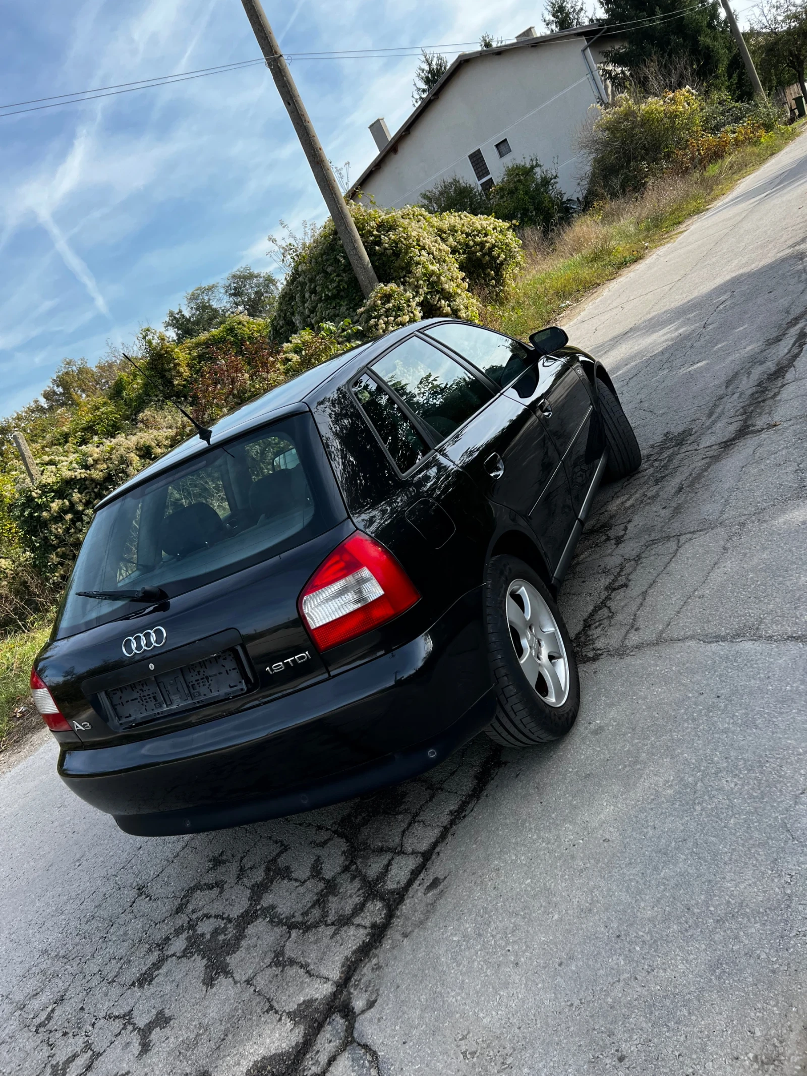 Audi A3 1.9tdi 101ks, снимка 4 - Автомобили и джипове - 56417903