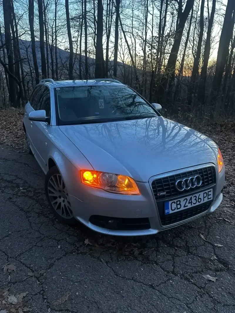 Audi A4 B7, снимка 3 - Автомобили и джипове - 52239831