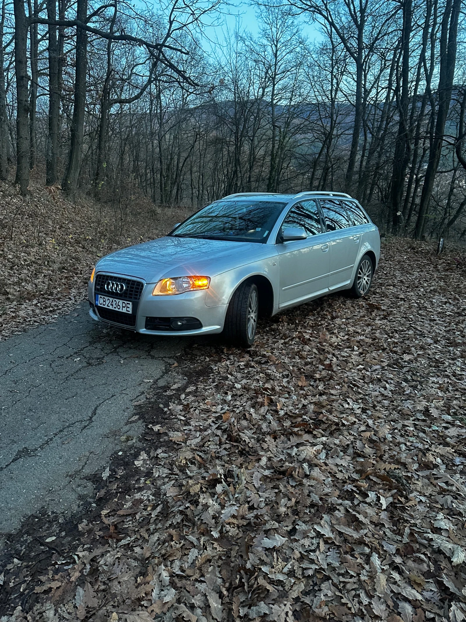 Audi A4 B7, снимка 1