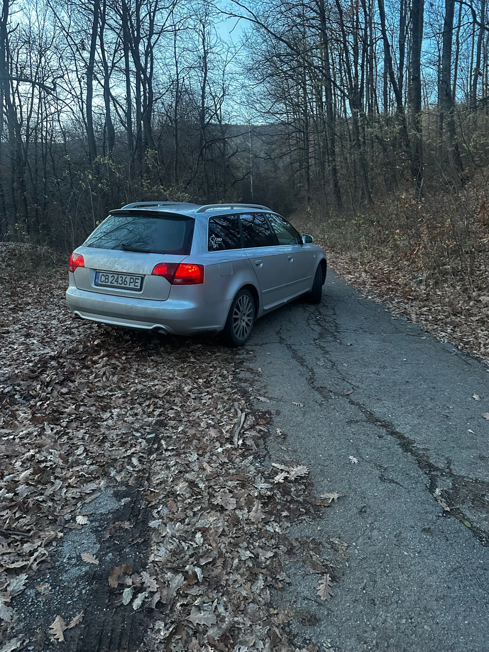 Audi A4 B7 | Mobile.bg � ����������� 5