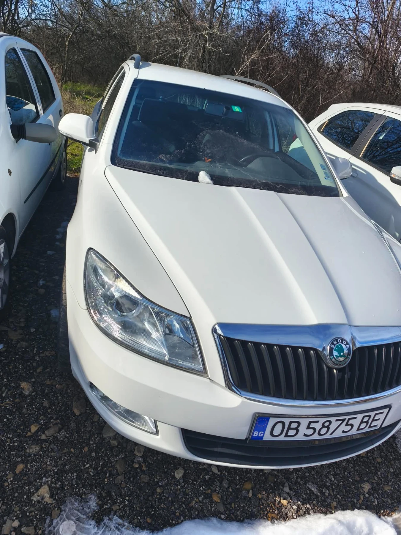 Skoda Octavia 4x4  | Mobile.bg � ����������� 2
