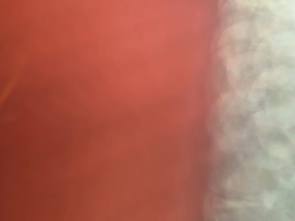 Porsche Macan * GTS * CARFAX * ��� ������������ ������ | Mobile.bg � ����������� 15