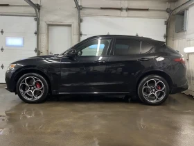 Alfa Romeo Stelvio Veloce * * V?HICULE CERTIFI?!!* * All Wheel Drive - 22914 € - 91101359 4
