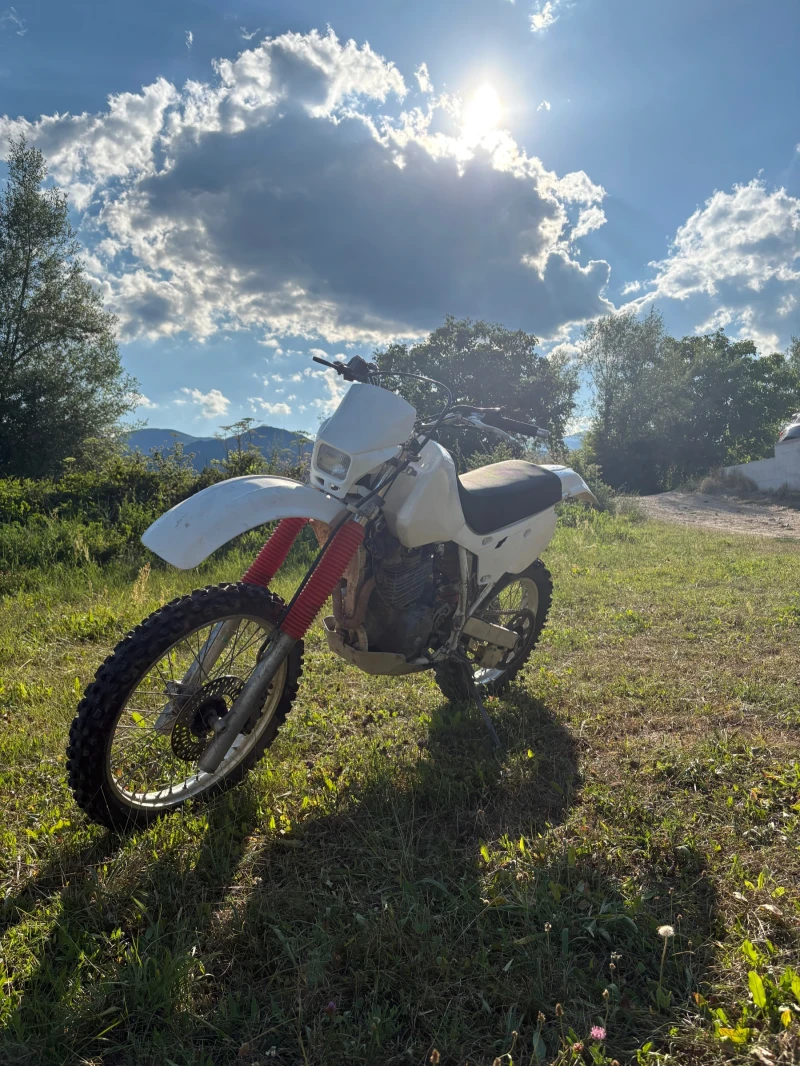 Honda Xr Honda XR600 R