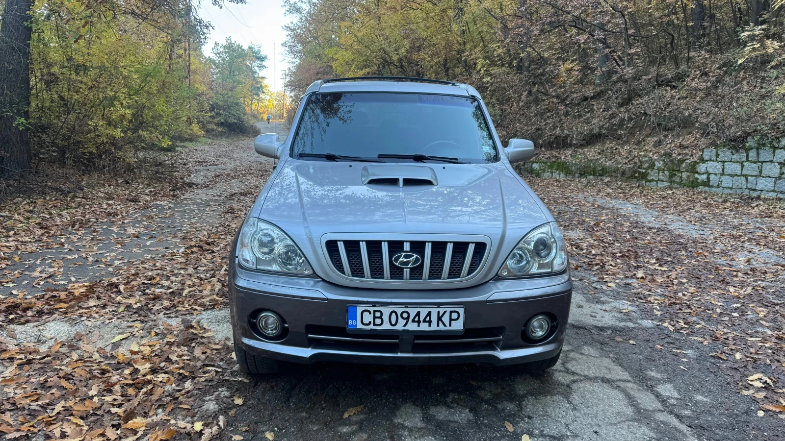 Hyundai Terracan | Mobile.bg   8