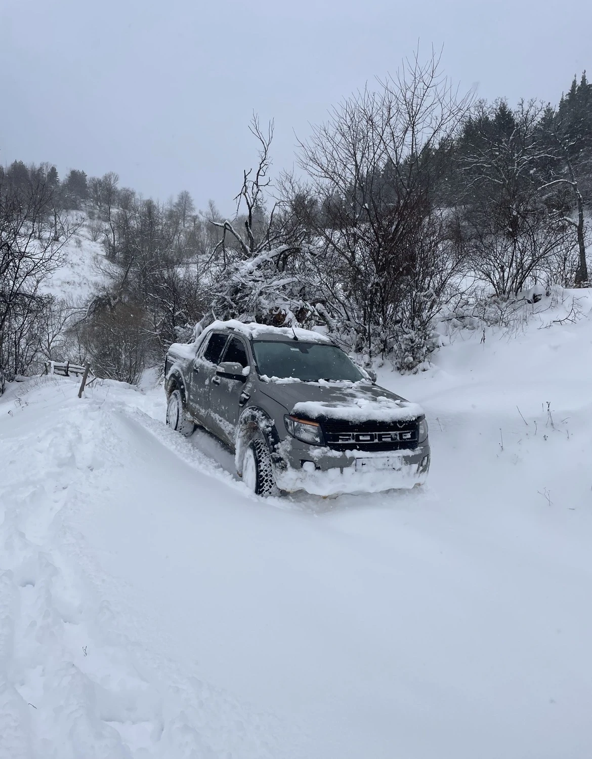 Ford Ranger 3, 2 D, снимка 17 - Автомобили и джипове - 53128147