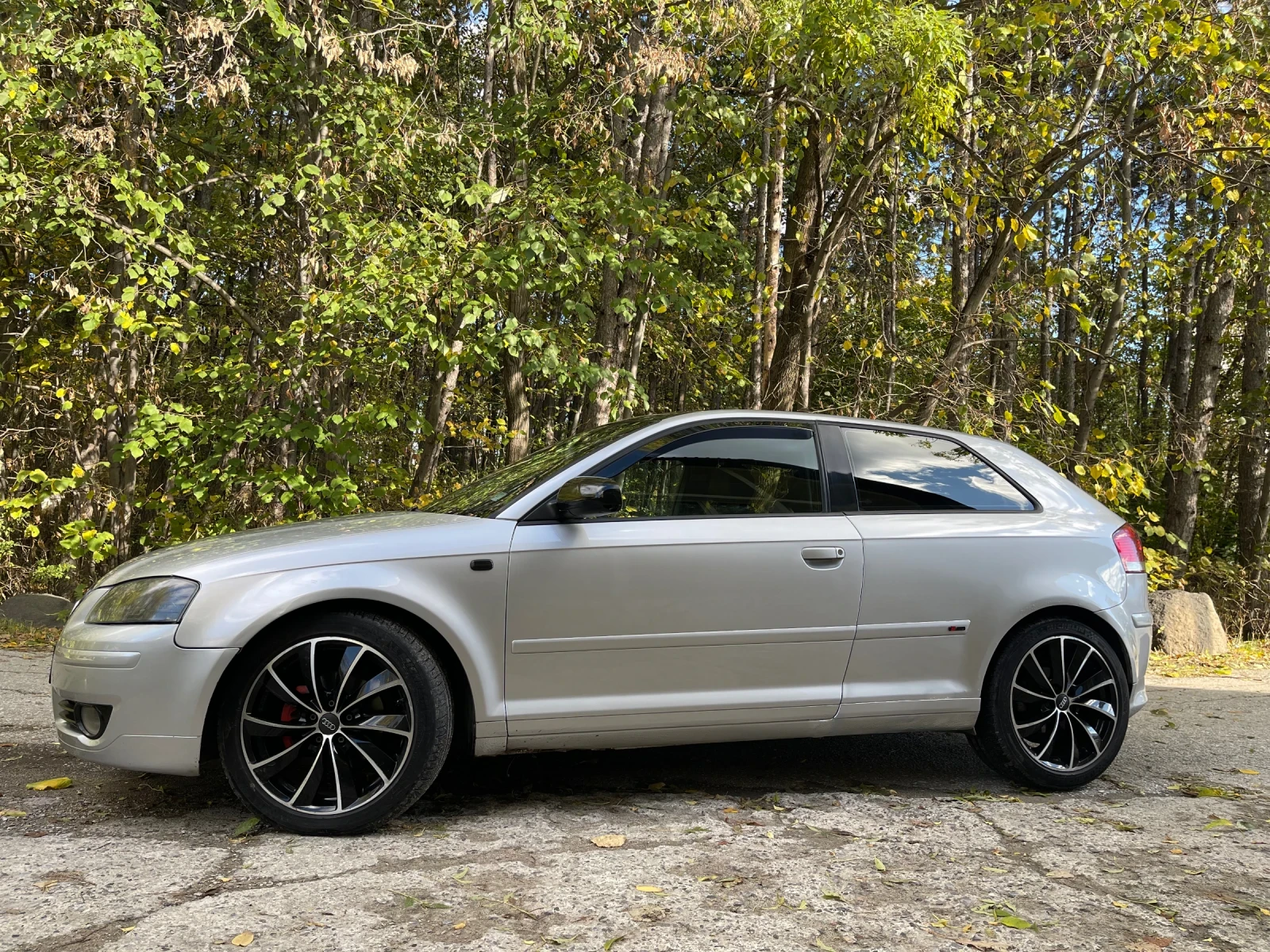 Audi A3 2.0 TDI  - изображение 2