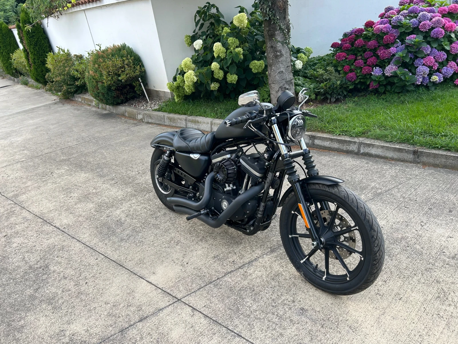 Harley-Davidson Sportster Iron 883, снимка 2 - Мотоциклети и мототехника - 55565016