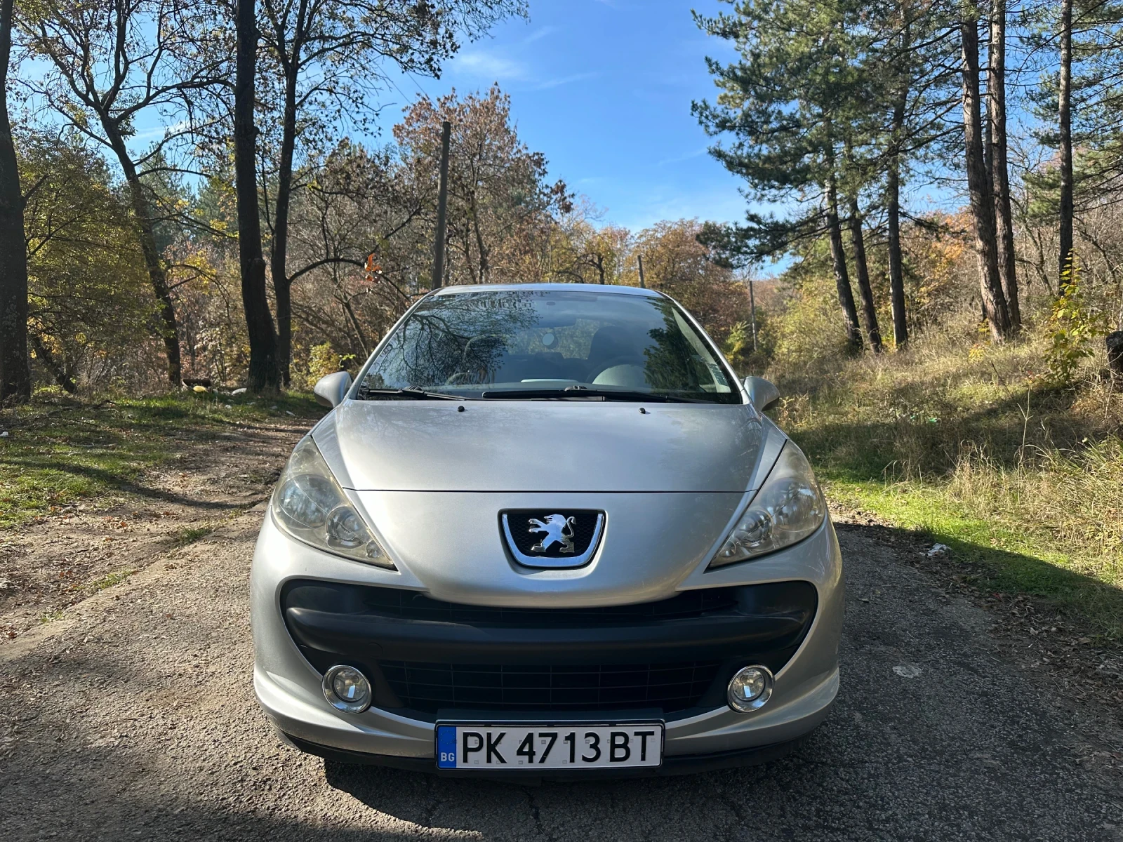 Peugeot 207 1.4 - изображение 3