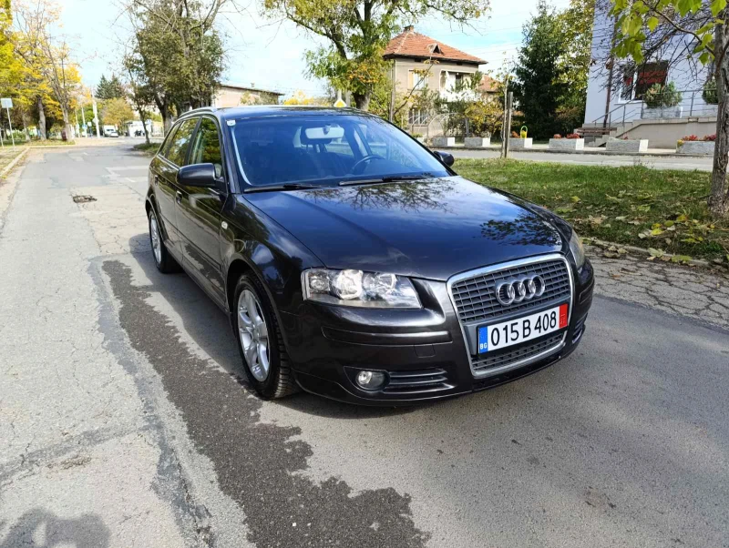 Audi A3 1.9 TDI 105 к.с. BLS , снимка 3 - Автомобили и джипове - 52176950