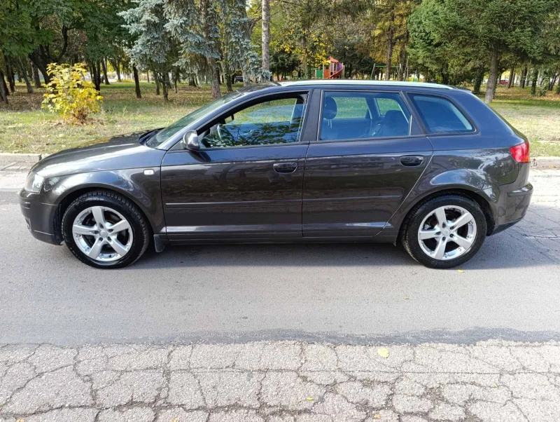 Audi A3 1.9 TDI 105 к.с. BLS , снимка 8 - Автомобили и джипове - 52176950