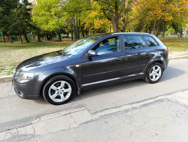 Audi A3 1.9 TDI 105 к.с. BLS , снимка 9 - Автомобили и джипове - 52176950